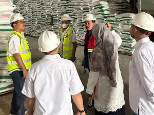 Azis Samual Tegaskan Tuduhan Terhadap Dirut Pupuk Indonesia, Mentan, dan Menko Pangan Tak Berdasar, Murni Hoaks